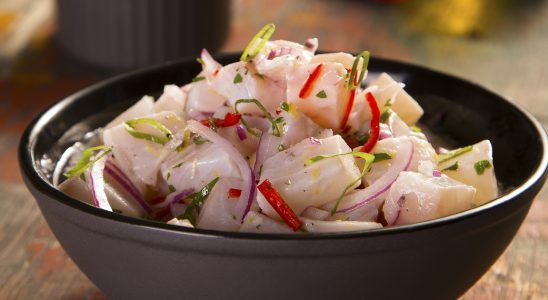 Ceviche Sensacional: O Prato que Vai Te Conquistar!